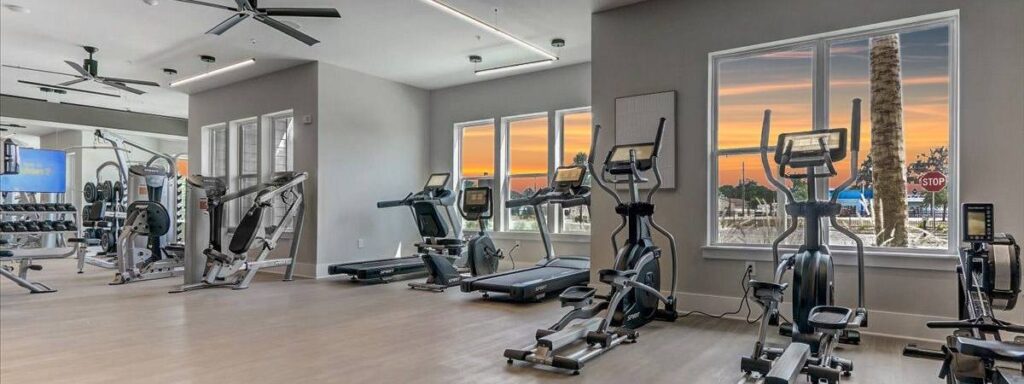 Modern gym with exercise machines, free weights, and large windows showcasing a sunset view.